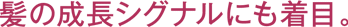 髪の成長シグナルにも着目。